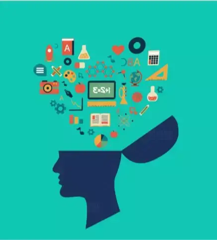 鸟笼效应:不要再被“鸟笼”牵住你│谈老师敲黑板