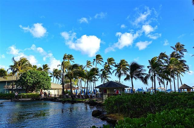 最美沙滩——威基基(waikiki beach)