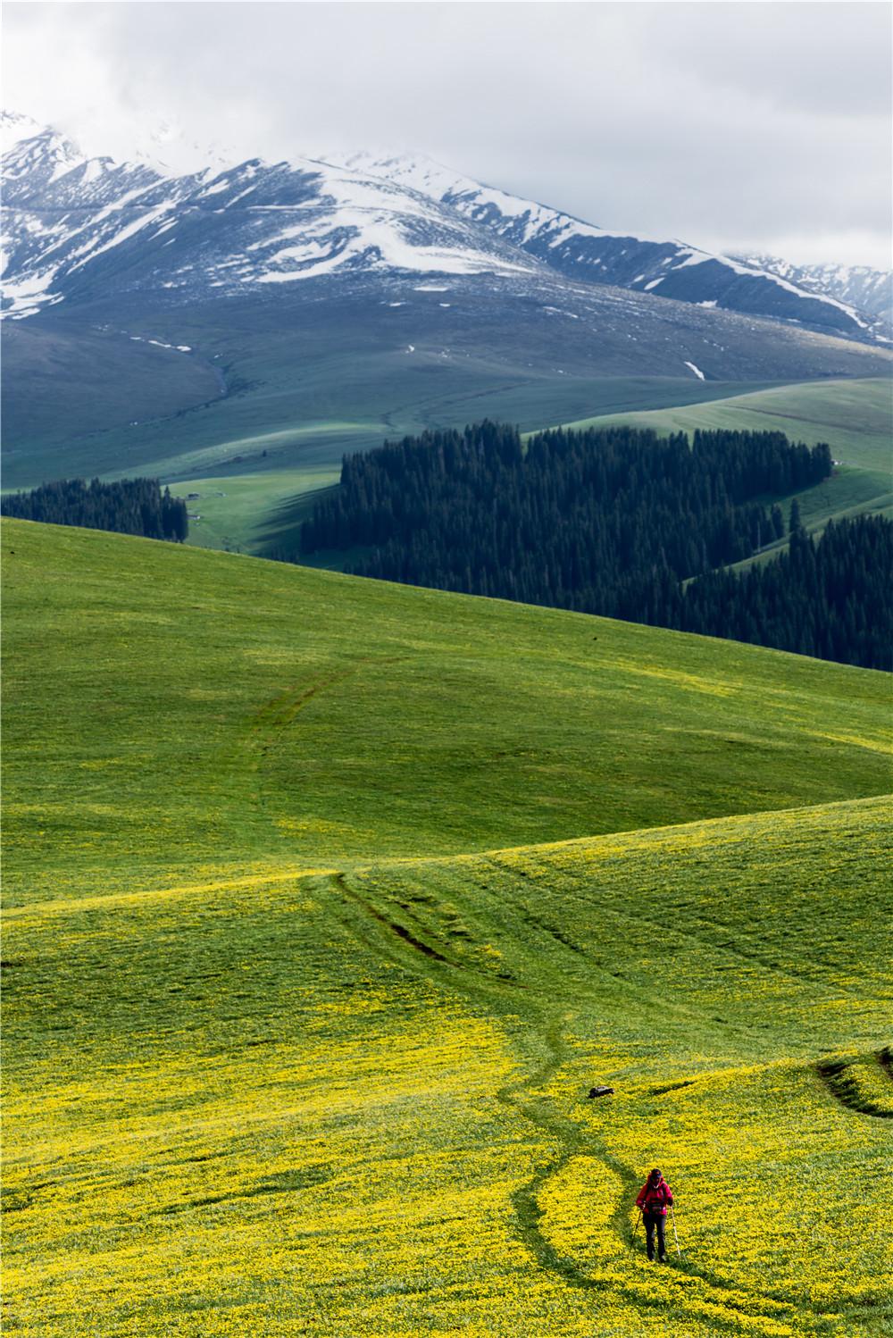 世间最美的草原,唯有新疆喀拉峻
