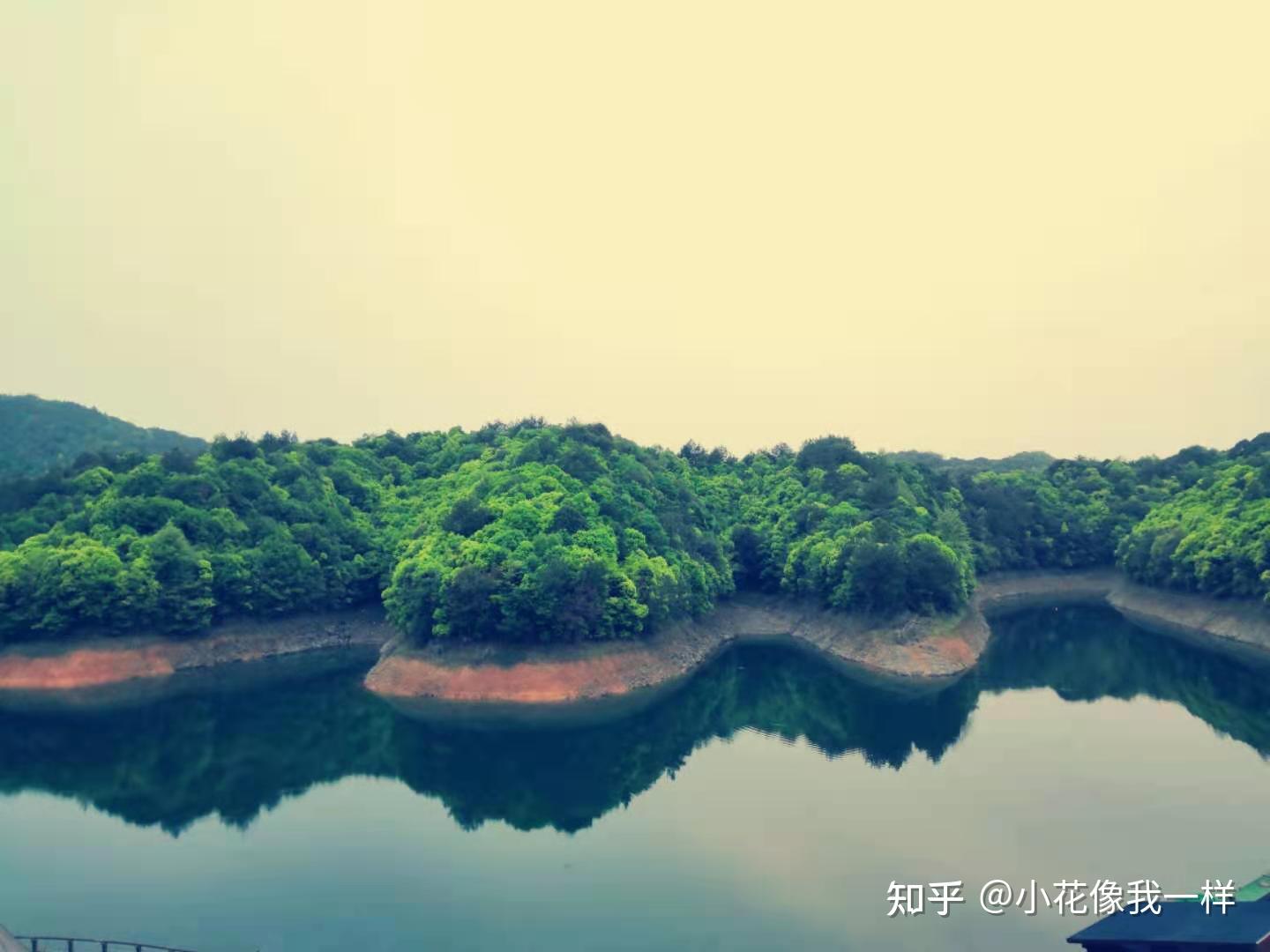 浙江千岛湖国家森林公园_360百科