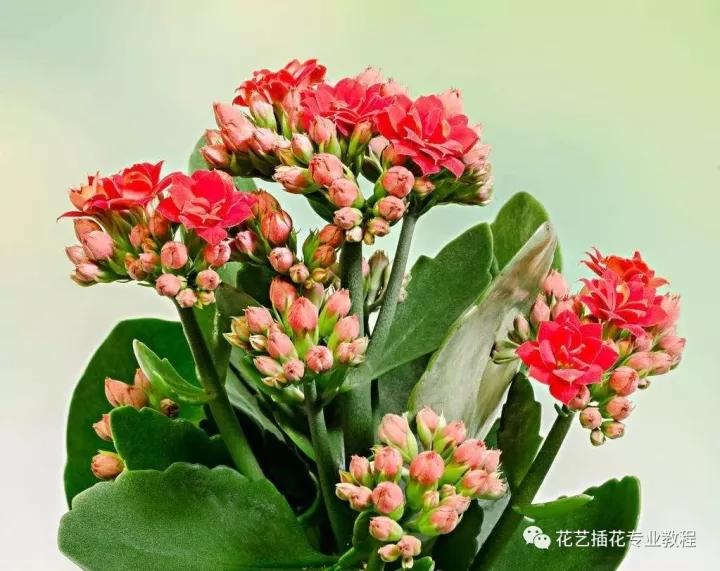 v2-444fcd107d5fb5f475e706e47ae83569_1440w.jpg?source=172ae18b