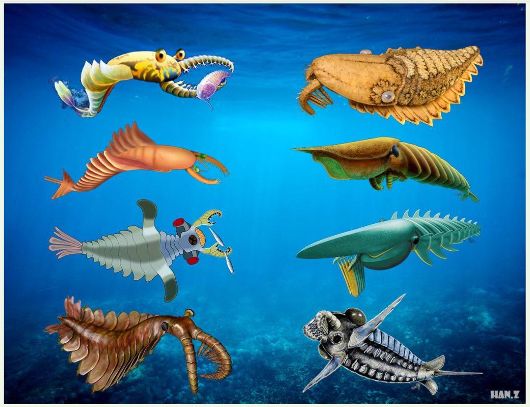 古生物复原不是光有想象力就可以