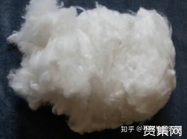 什么是精细纤维 v2-445ea15414fa5e5ee7caa26776217fe3_b.jpg