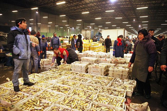 尤其是在难倒生鲜商户的第一道大关——生鲜采购上.