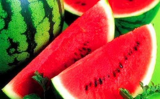 西瓜怎么种在家中 v2-446725f4343776c3124956bc477c9ea9_1440w.jpg?source=172ae18b