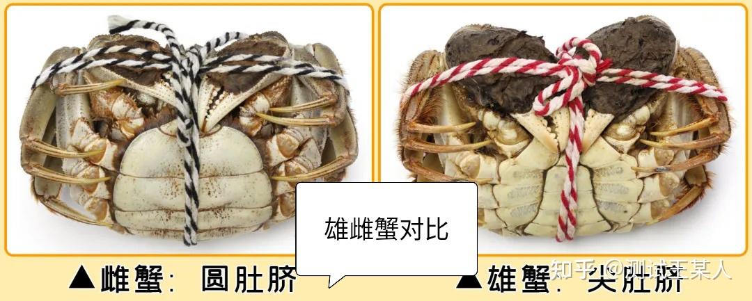 4.  如何挑选大闸蟹