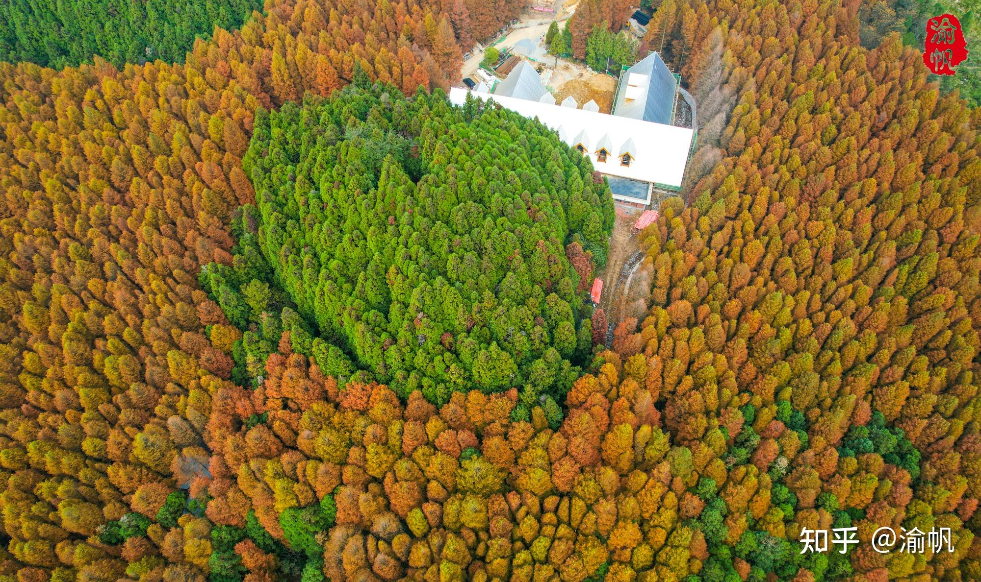 南川山王坪,欣賞真正的