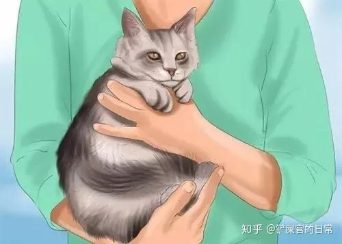 v2-447bbf7e4f5e41d91910b0f8db3bf33b_r.jpg