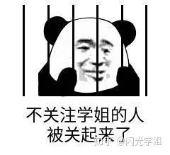 v2-4481c3f38bcf23046837a2614d5a0a73_b.jpg