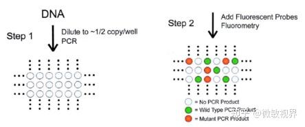一种用于现场即时检验（point-of-care testing）的ddPCR - 知乎