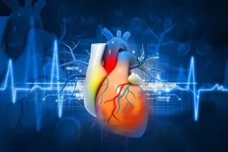 2020十大心血管医学进展公布！带来预防、治疗心脏病和