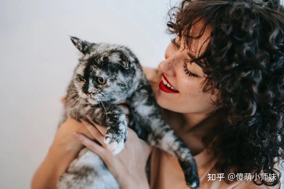 养猫的人为何如此优秀!深层揭秘他们是如何成为人生赢家的! - 知乎