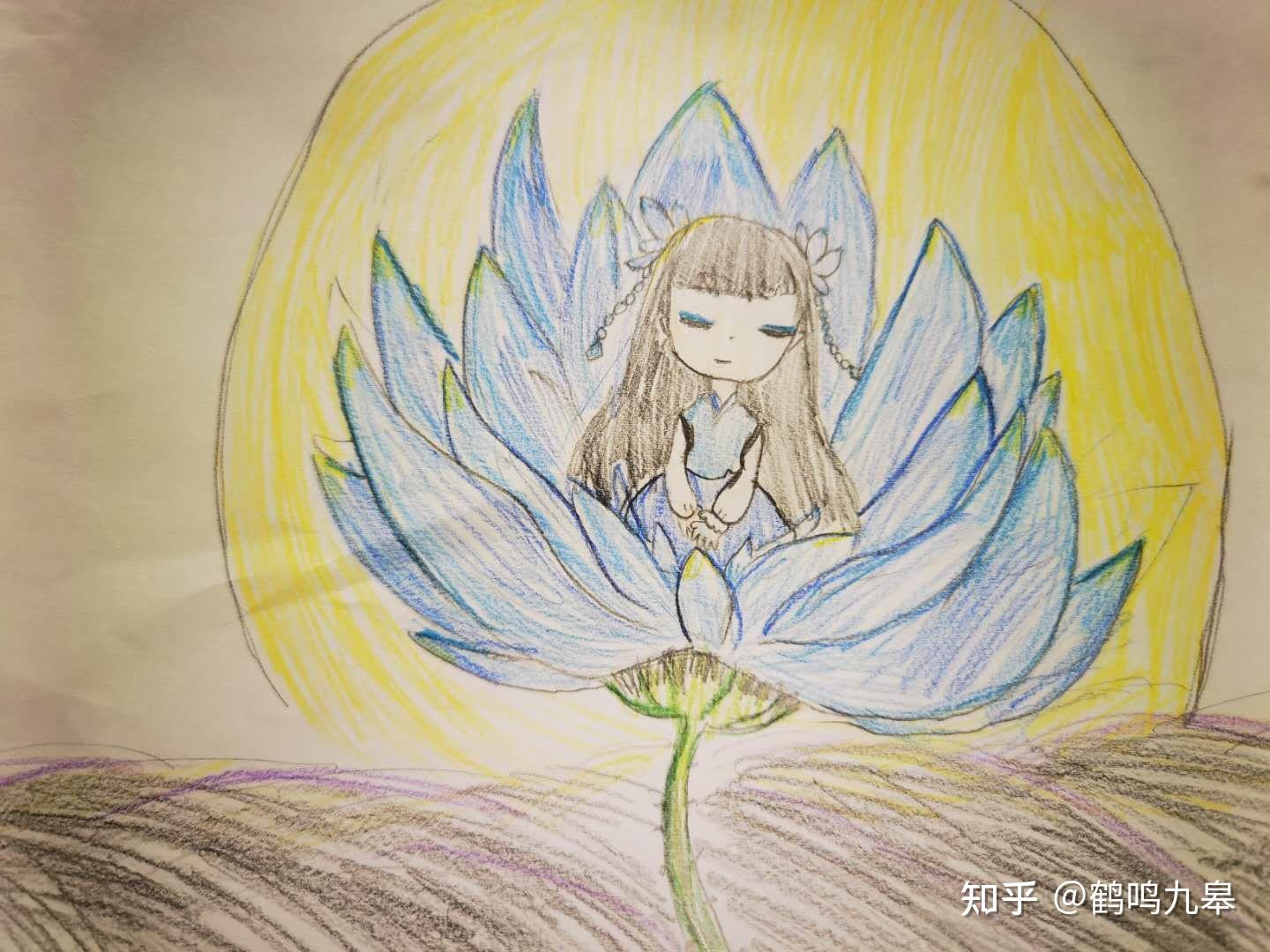 许愿仙子 - 知乎