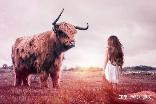 脑袋里的自我批斗大会:「反刍思考」是什么?要怎样才能摆脱它? - 知乎