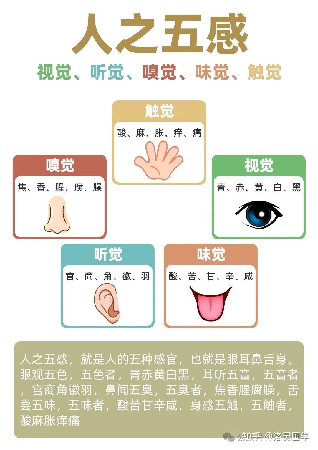 受限的五感是欲望之源(上篇) - 知乎