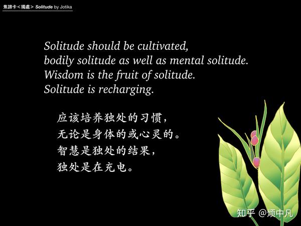 学会独处 - 知乎