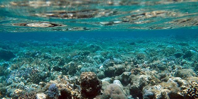 春节想出国游,时间5.6天,三个大人,一个8个月大