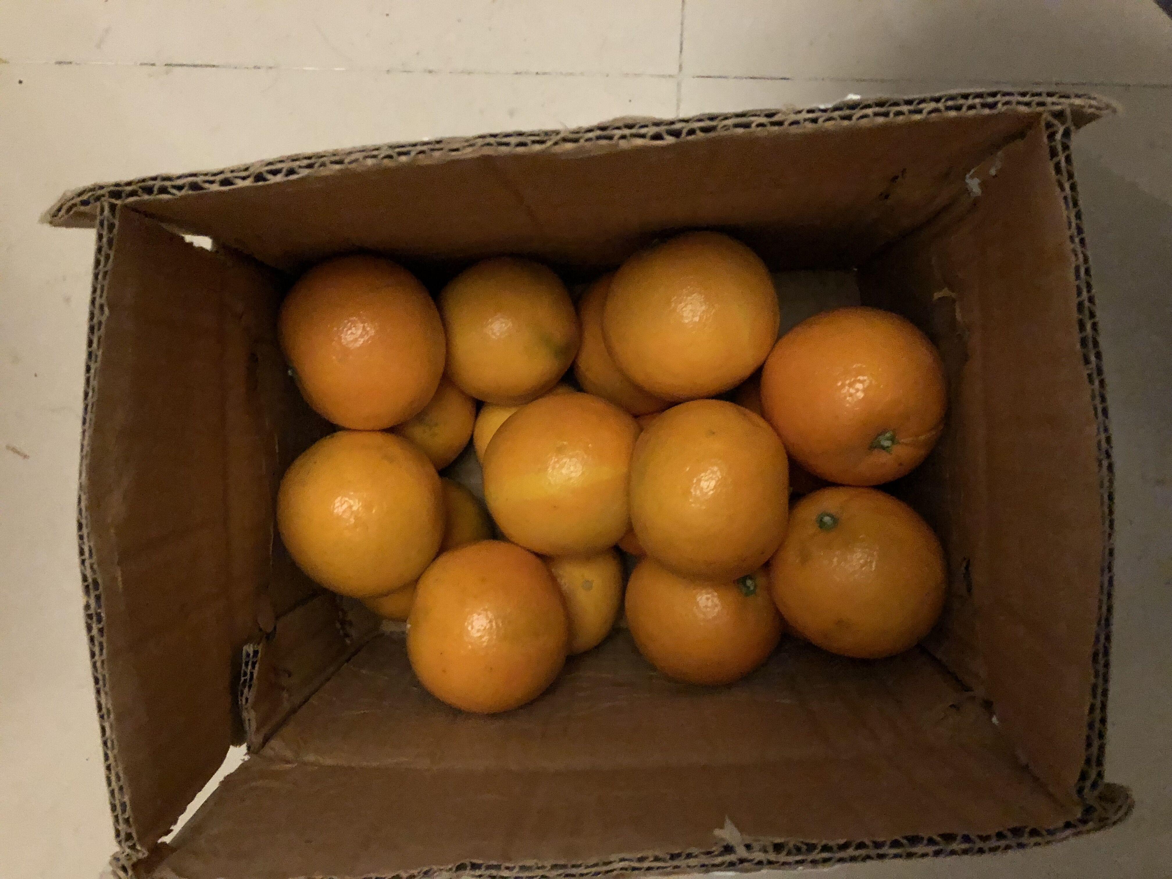 如何区分橙子是否打蜡?