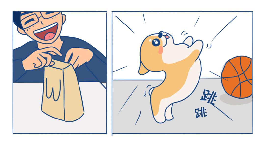 宠物大作战:与阿信抢鸡腿的一天!
