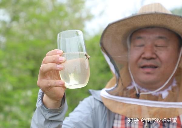 6寸柠檬戚风蛋糕的做法_柠檬蛋糕的做法_柠檬磅蛋糕的做法