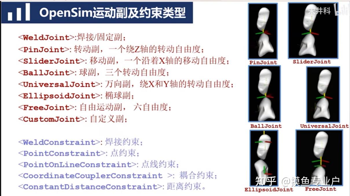 Opensim外骨骼人机耦合仿真分析教程 - 知乎