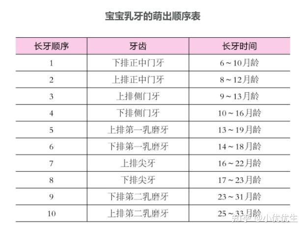 六龄牙什么时候长出来图片