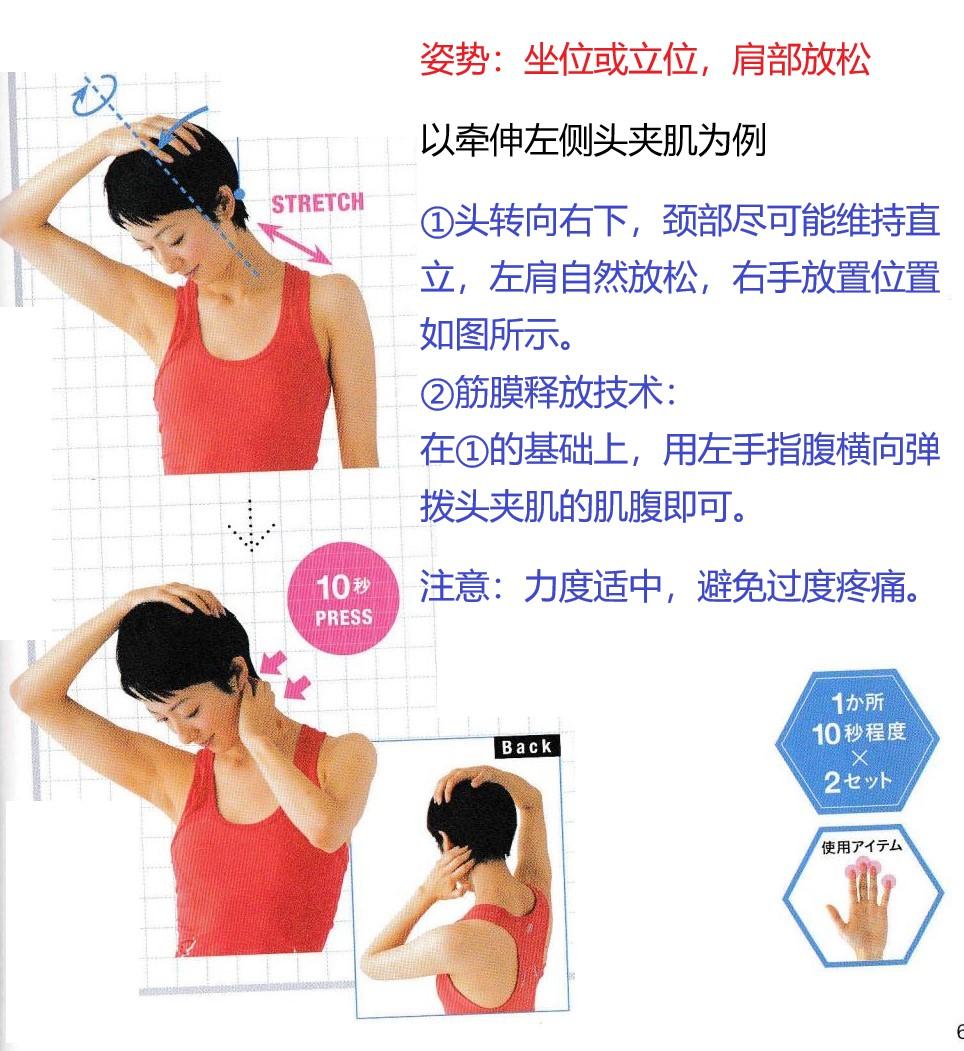 时习康复头夹肌解剖学分析及触诊法