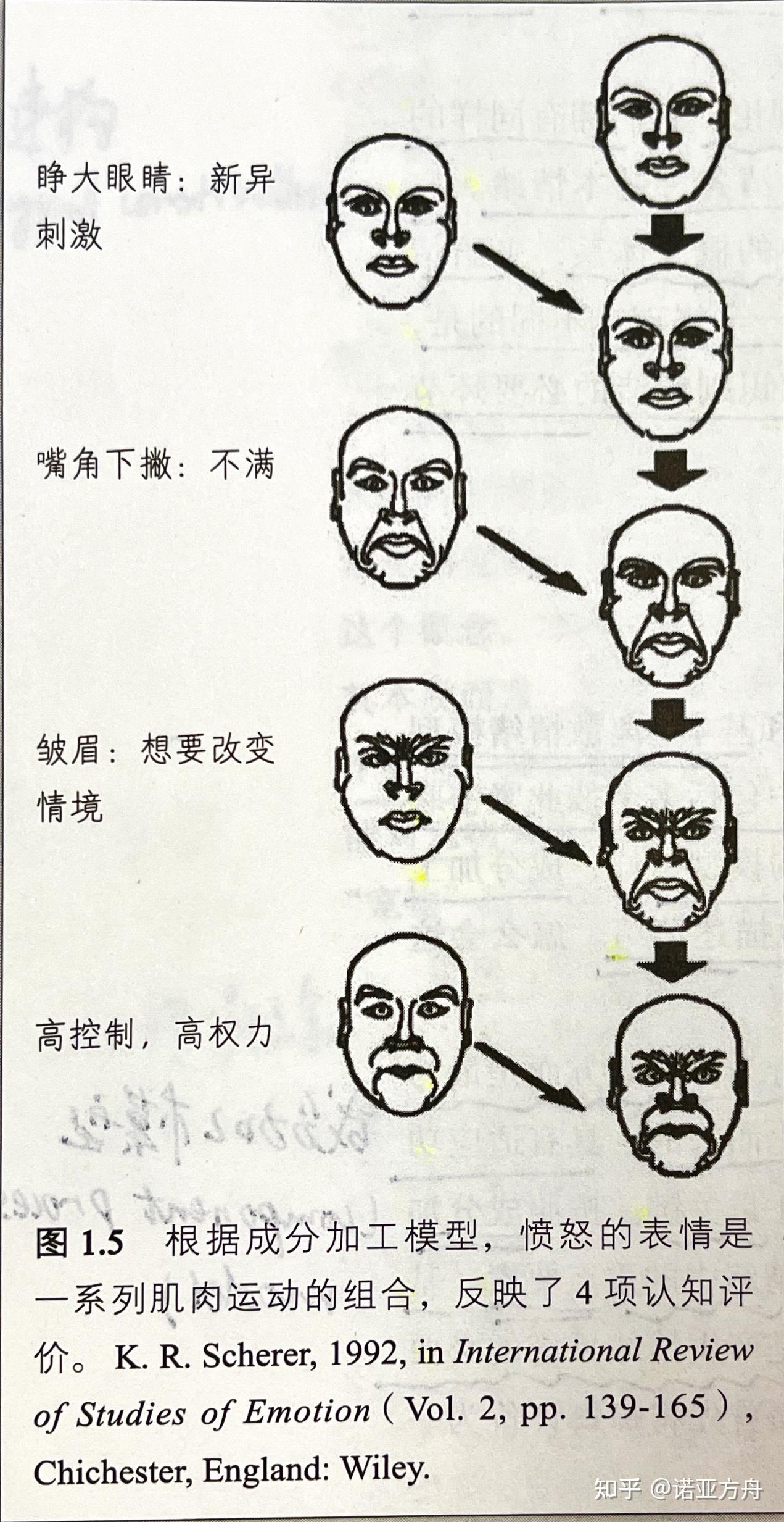 情绪的本质 - 知乎
