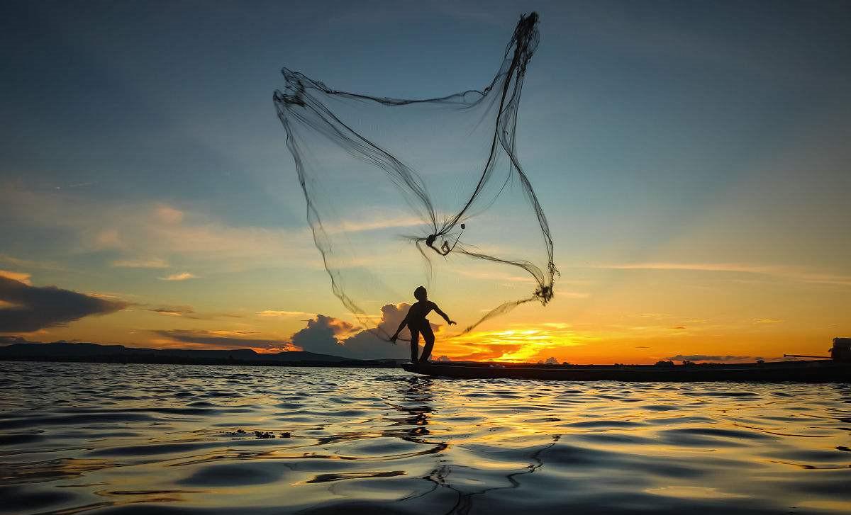 撒网捞鱼:揭秘如何写爆文能月入3000 ?