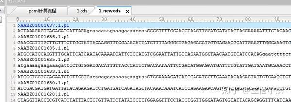【比较基因组】如何利用paml计算kaks - 知乎