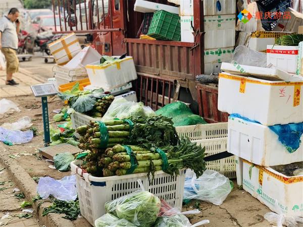 重庆赶集网最新发布信息(赶集网)