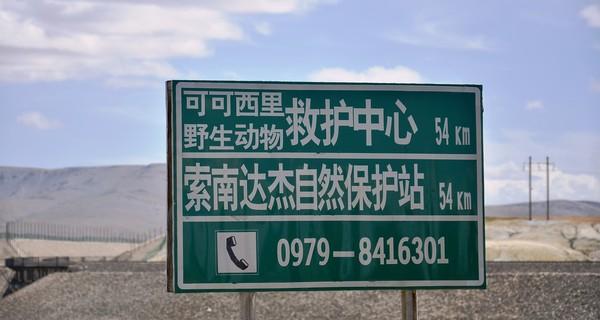 在苍凉壮阔的无人区请记住可可西里的网红脸