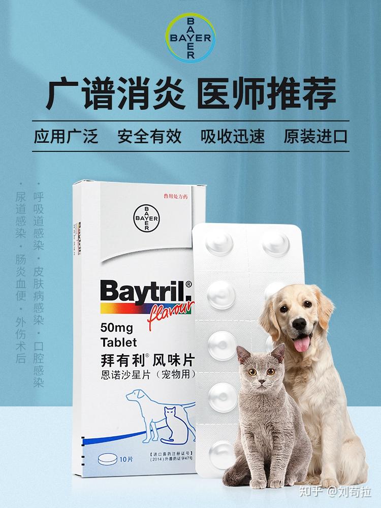 2020宠物药品推荐丨这些药应该是你家药品盒里必备的