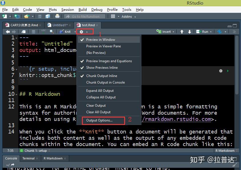 rmarkdown echo rmarkdown echo