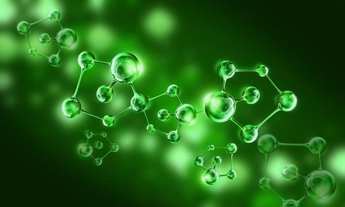 pnas中国农科院基因组所武志强课题组解析植物细胞器基因组超低突变率
