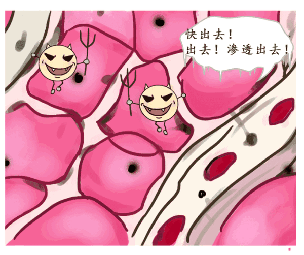 图解无菌性炎症侵蚀关节过程