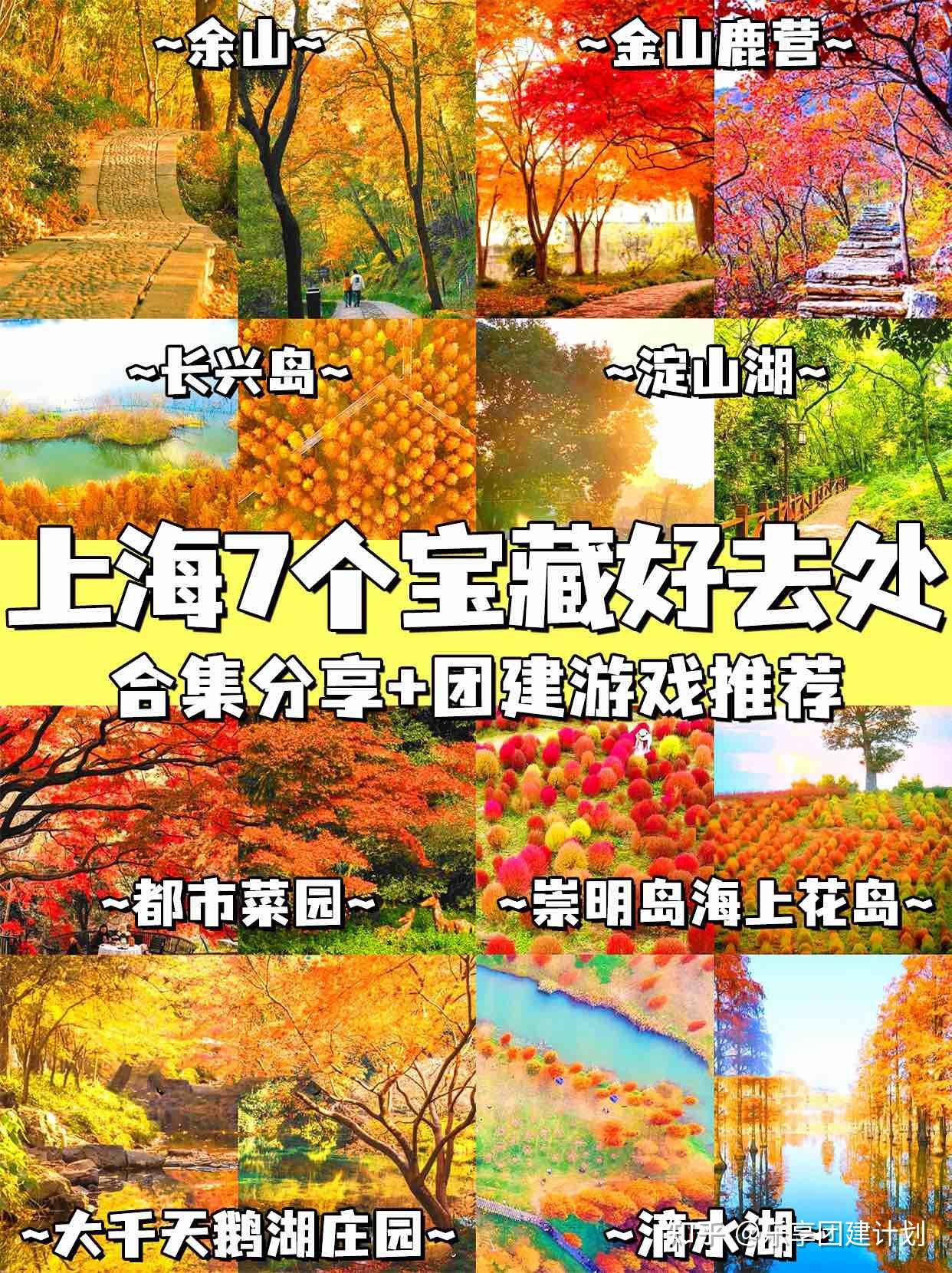 上海团建7个宝藏好去处合集分享+团建游戏推荐 - 知乎