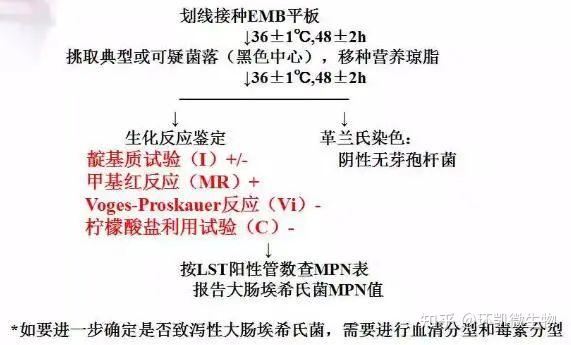 大肠菌群、粪大肠、大肠埃希氏菌检验的相关知识 - 知乎