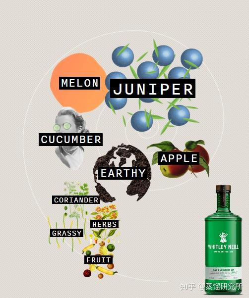 金酒一场植物学家的狂欢分类篇