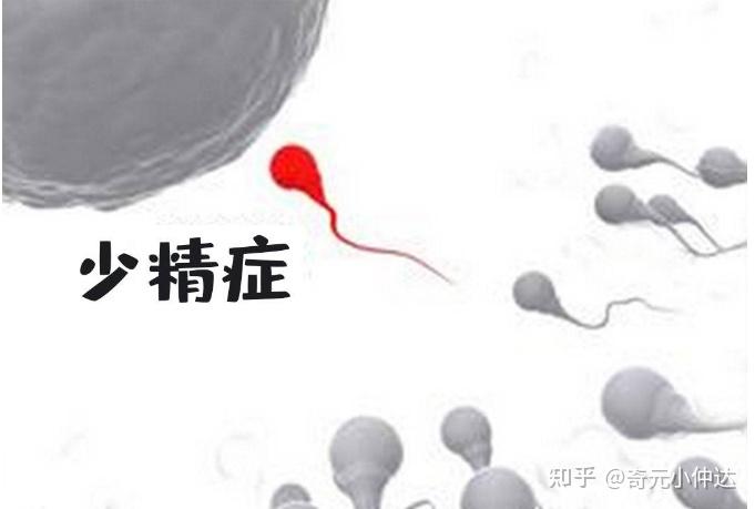 青少年成长与社会困境的真实写照