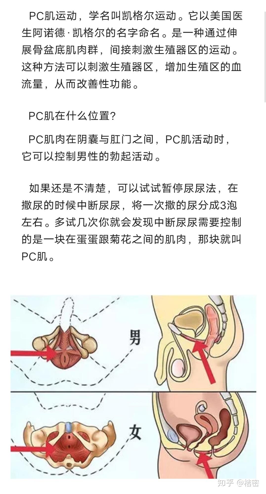 男性多锻炼pc肌