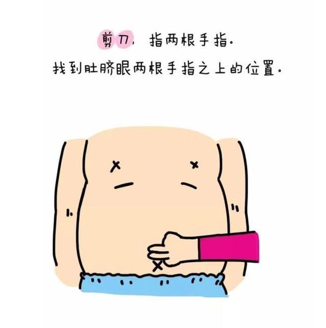 剪刀:双手放于肚脐上两横指布:左手包住拳头石头:右手握拳手势口令