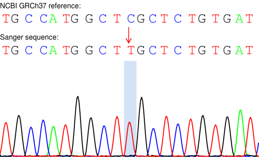 一代验证测序结果