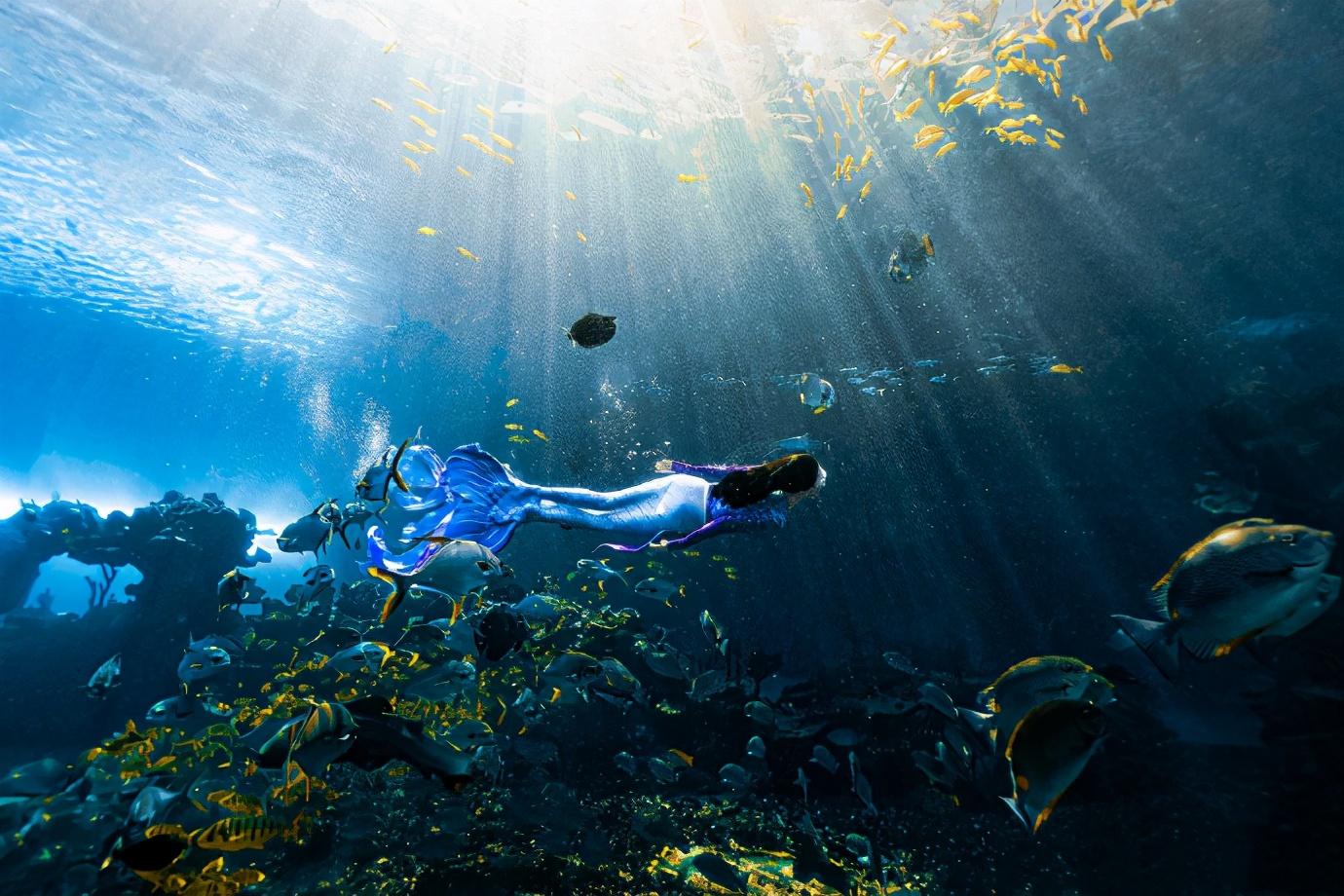 张柏芝不愧是冻龄女神一袭蓝紫色人鱼服效果神秘又梦幻名门泽佳