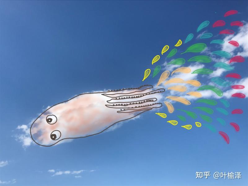 周周鱼描绘出斑斓梦幻的大理云