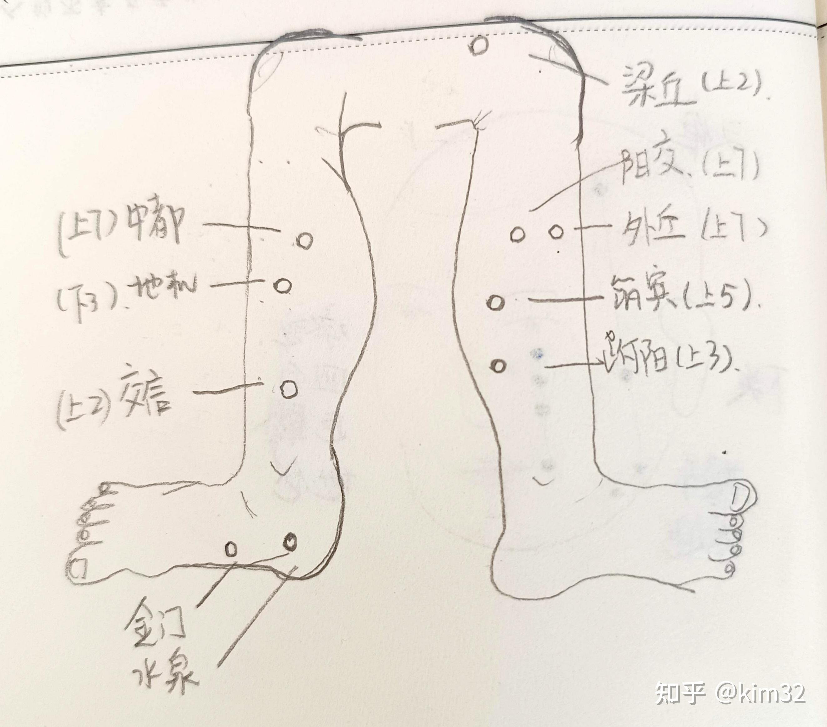 一天记住：16㕁穴（十九） - 知乎