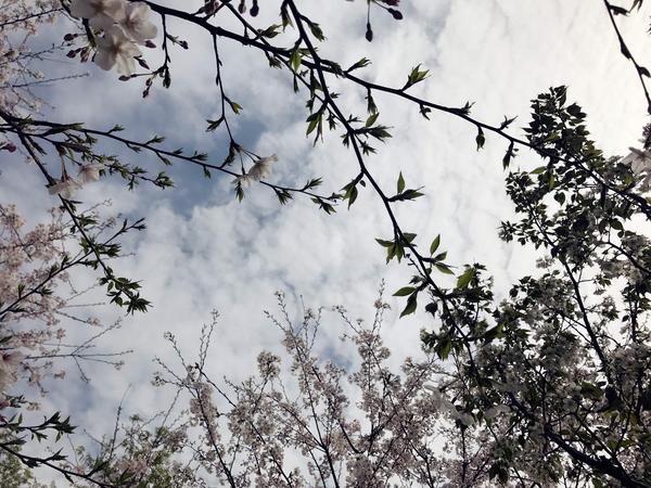 学习私募股权投资