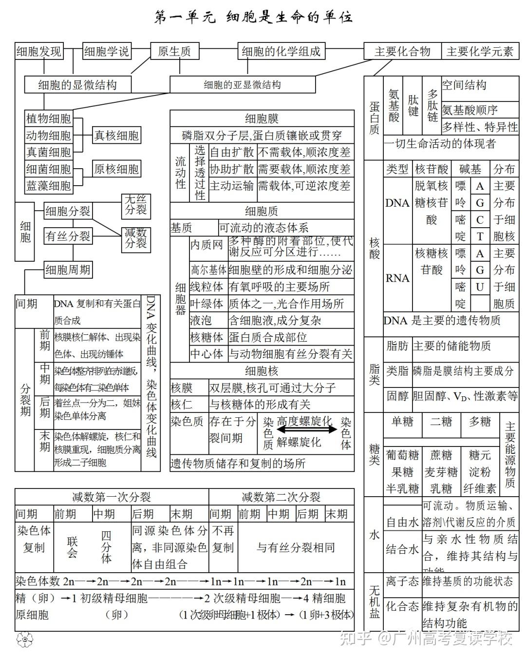 高中生物所有知识点思维导图汇总