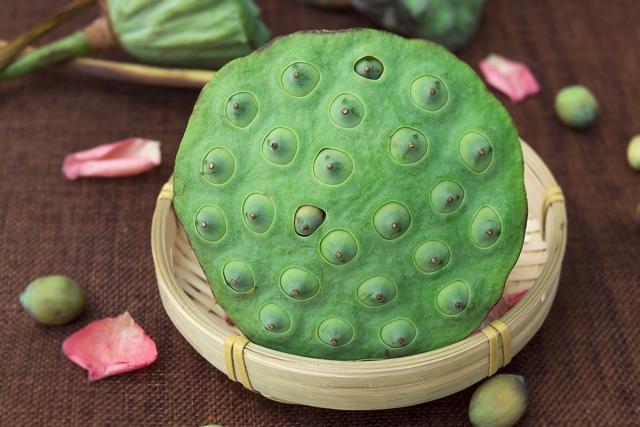 莲商会莲子哪里产的最好新鲜莲子怎么吃比较好