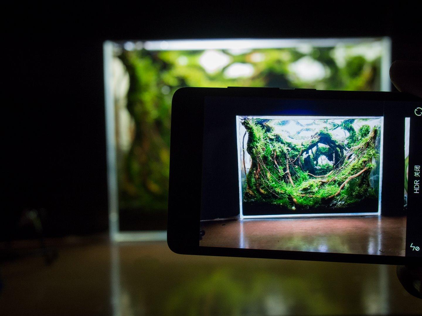 一步一步微缩景观